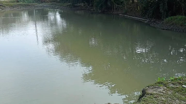 বাড়ির পাশের গর্তের পানিতে ডুবে দুই ভাইয়ের মৃত্যু